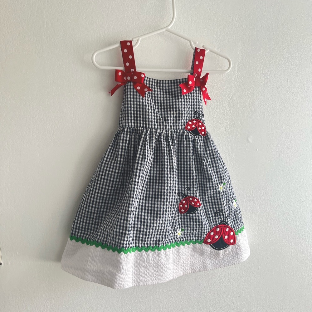 Rare Editions spring lady bug dress with ribbon details size 24months